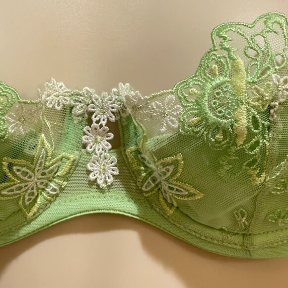 Cotton Club Lime Daisy - Picture 2 of 5